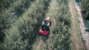 Mulčovač Kverneland FML pri údržbe medziradia v sade